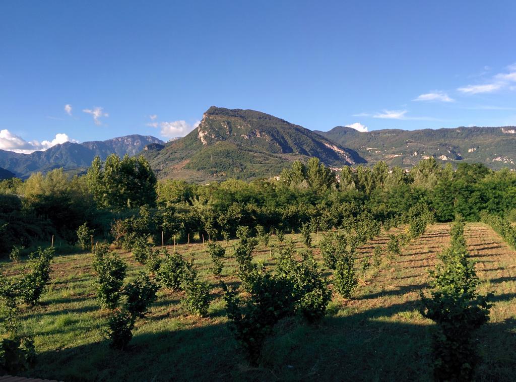 La Luna Nel Fiume Giffoni Valle Piana Zewnętrze zdjęcie